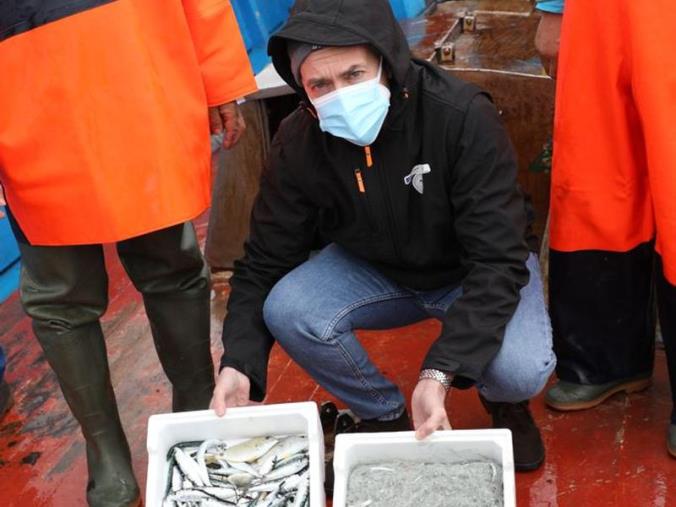 images Pesca della sardella. La Regione dà il via alla campagna sperimentale (FOTO)