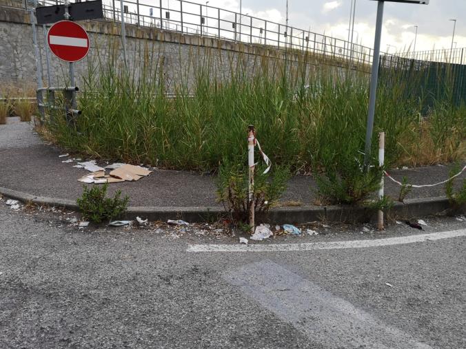 images Al Policlinico di Catanzaro le ambulanze fanno il loro ingresso tra erbacce e rifiuti (FOTONOTIZIA) 