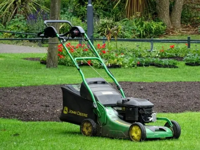 images "Giardinieri d’arte per giardini e parchi storici": ecco  il progetto di formazione curato dalla Cooperativa Dedalo 