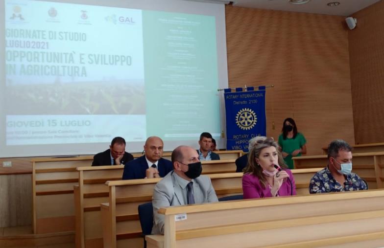 images Il Rotary Club Hipponion Vibo Valentia si interroga su "Orizzonti europei e politiche di sviluppo in agricoltura"