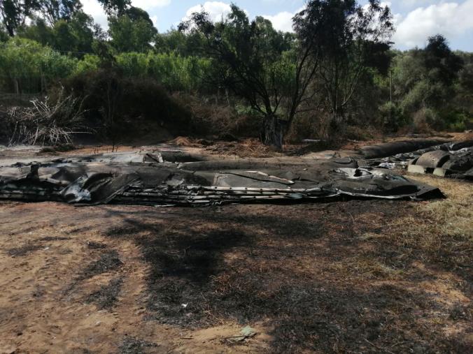 images Incendio al depuratore di Gioia Tauro il dg  dell'Arpacal rassicura il sindaco Alessio: "Massimo impegno per dare risposte immediate"