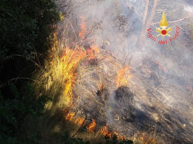  Incendi boschivi, ora i piromani si scovano con gli algoritmi  