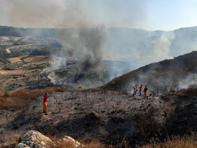 images Cento incendi attivi nel primo giorno di agosto, colpite soprattutto le province di Catanzaro e Reggio