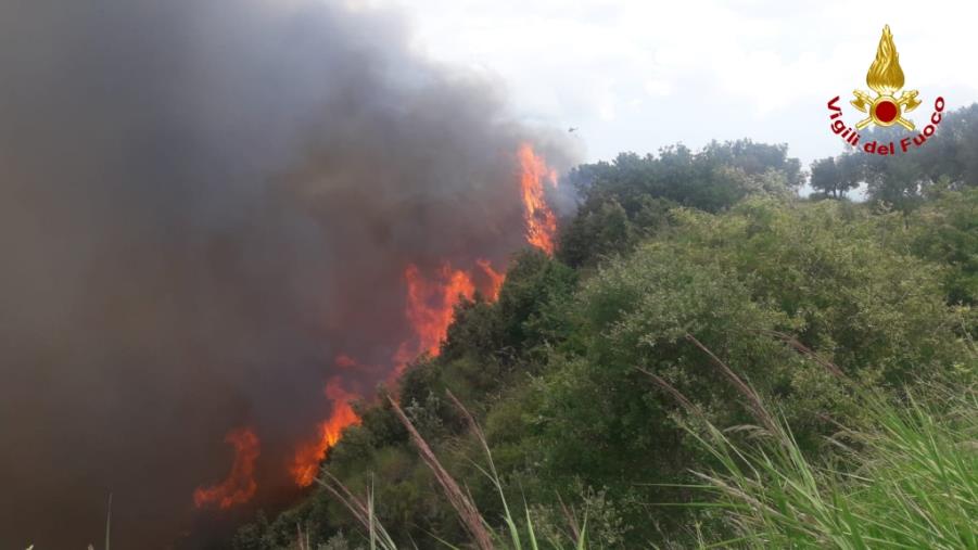 images Quattro ettari di macchia mediterranea bruciano a Fossato Serralta (VIDEO)