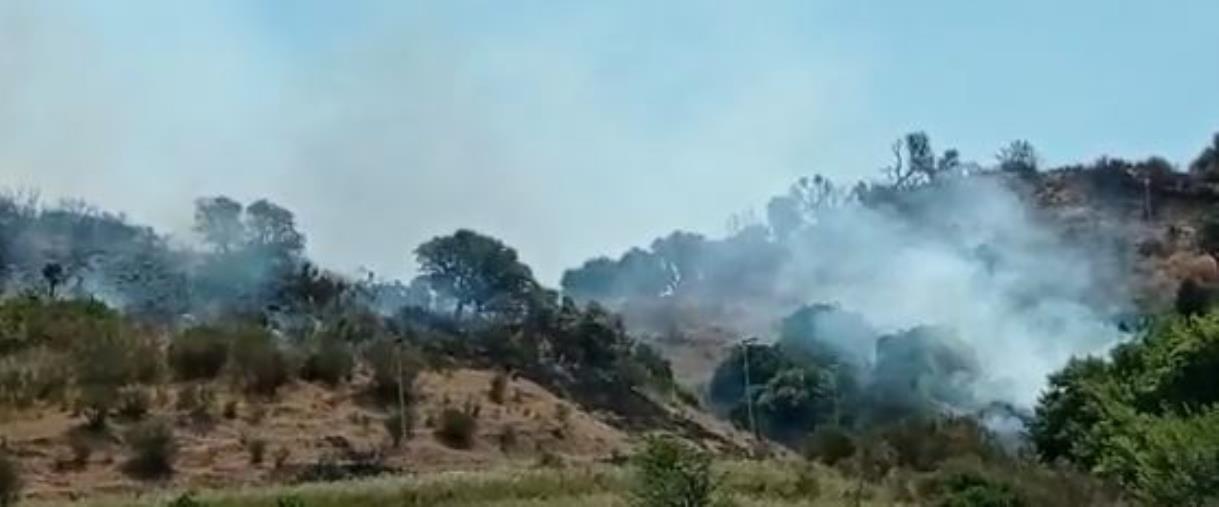 images Catanzaro, vasto incendio nella zona sud 