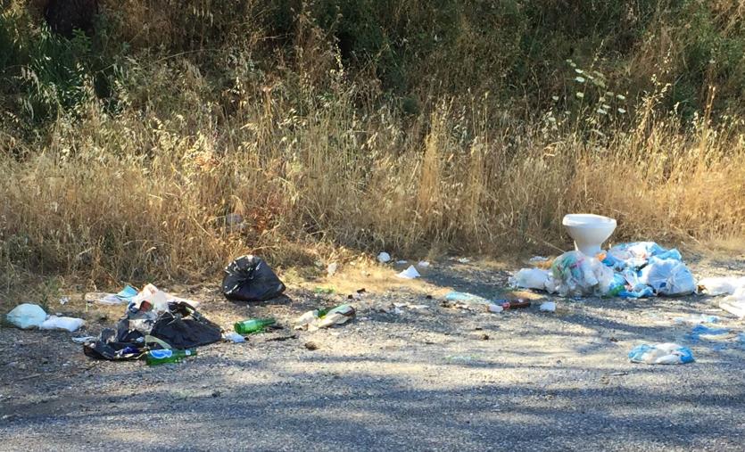 images Cumuli di rifiuti lungo via Galiani a Catanzaro, Mungo: "Auguri alla Giunta, ora sotto con il lavoro" 