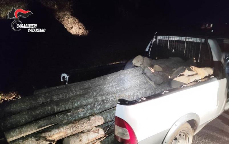 Beccato mentre ruba la legna in un terreno privato: arrestato un 50enne a Platania
