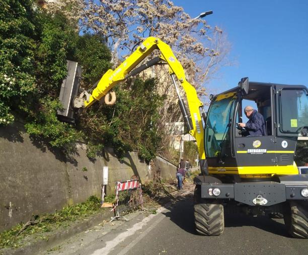 images Catanzaro. Cavallaro: "Effettuati i lavori di messa in sicurezza su viale De Filippis" 