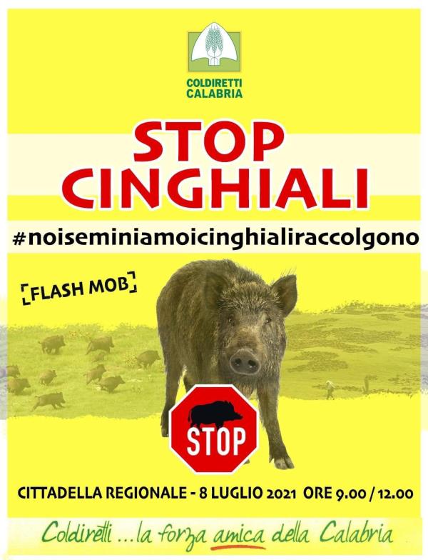 images Catanzaro. Agricoltori e cittadini in piazza per protestare contro l'invasione dei cinghiali