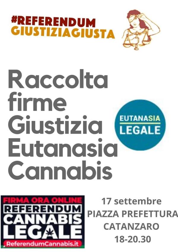 images Giustizia, eutanasia, cannabis: venerdì a Catanzaro la raccolta firme 