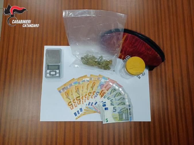 images Droga, nei guai un 20enne e un 40enne di Amaroni trovati con la marijuana: uno in manette e l'altro ai domiciliari