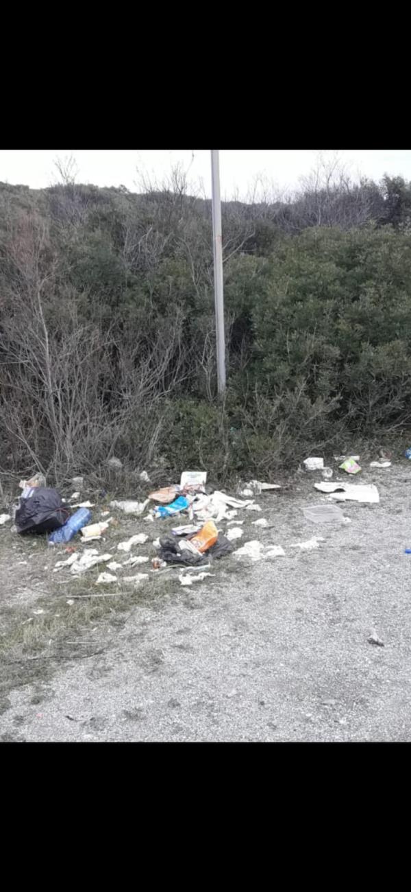 images Lamezia Terme. Piccioni (Bene Comune): "La Pineta del lungomare in condizione di degrado. Prorogare la gestione o un nuovo bando in tempi rapidi"