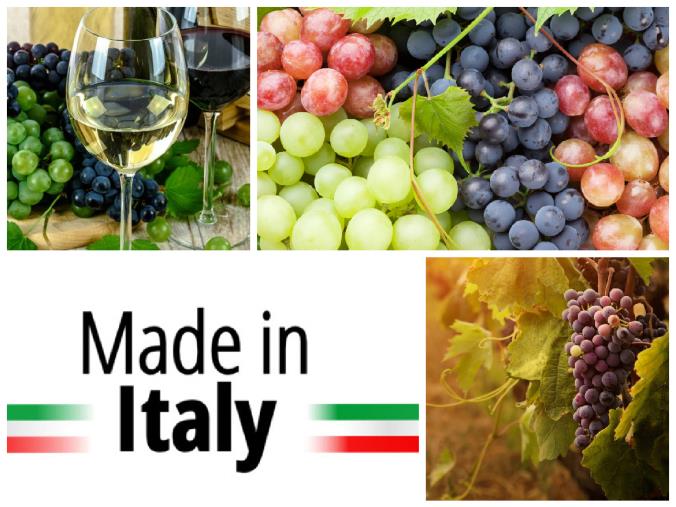 images Vino dealcolato per volere dell’Europa. Taverniti: "Cosa c’è di vero? Difendiamo il distintivo di eccellenza 'Made in Italy'”