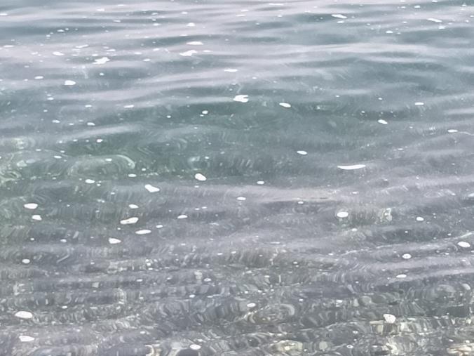 images Catanzaro. Mare sporco a Giovino, esclusi sversamenti da rete fognaria