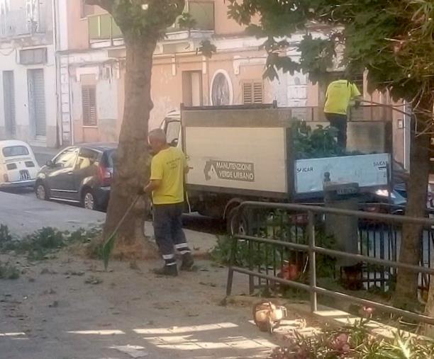 images Catanzaro, alberi in sicurezza in zona Pontegrande: Scarpino ringrazia operai e amministratori