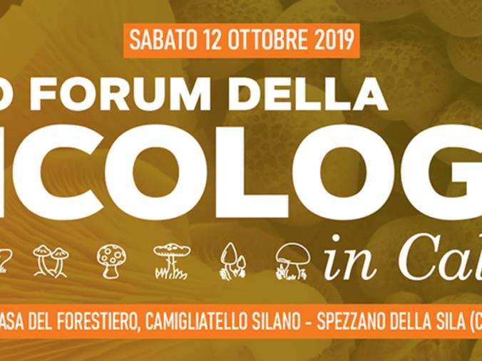 images A caccia di funghi, tutto pronto per il primo Forum della Micologia in Calabria