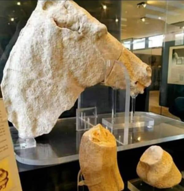 images Riapre il Museo archeologico di Capo Colonna, nel Crotonese: tour tra storia e arte