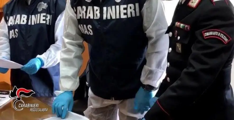 images Controlli dei Nas nelle mense scolastiche di Reggio Calabra: 6 le aziende di catering "irregolari"