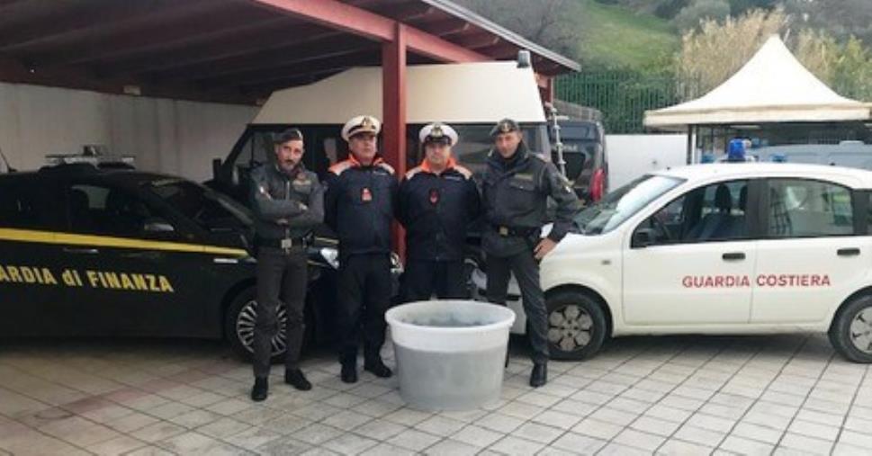 images Guardia costiera e Guardia di finanza sequestrano 750 Kg di bianchino a Roseto Capo Spulico