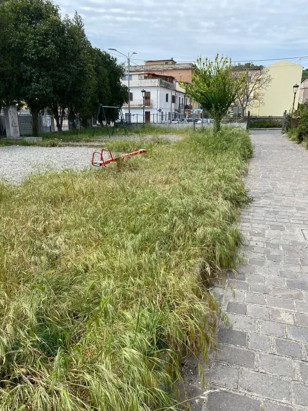 images Guardia medica e parco giochi a Santa Maria di Catanzaro, Costa: "Barberio non si accorge di problemi oggettivi"