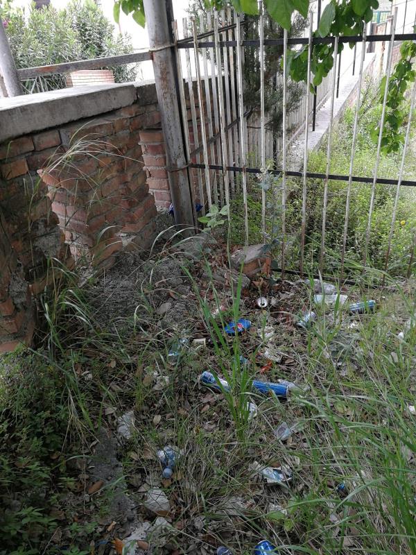 images Riapre il Parco, ma gli utenti non lo meritano: nel verde solo lattine. Di Lieto: "Non riusciamo a comprendere il valore di quanto possediamo. Chiudiamolo!"