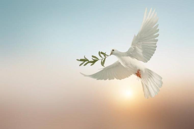 images Una Santa Pasqua a tutti i nostri lettori nel segno della Pace. Andiamo avanti insieme