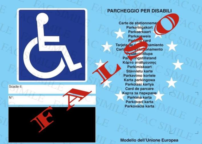 images Parcheggia l'auto davanti all'aeroporto di Lamezia in un posto per disabili con un pass falso, denunciato 52 reggino 