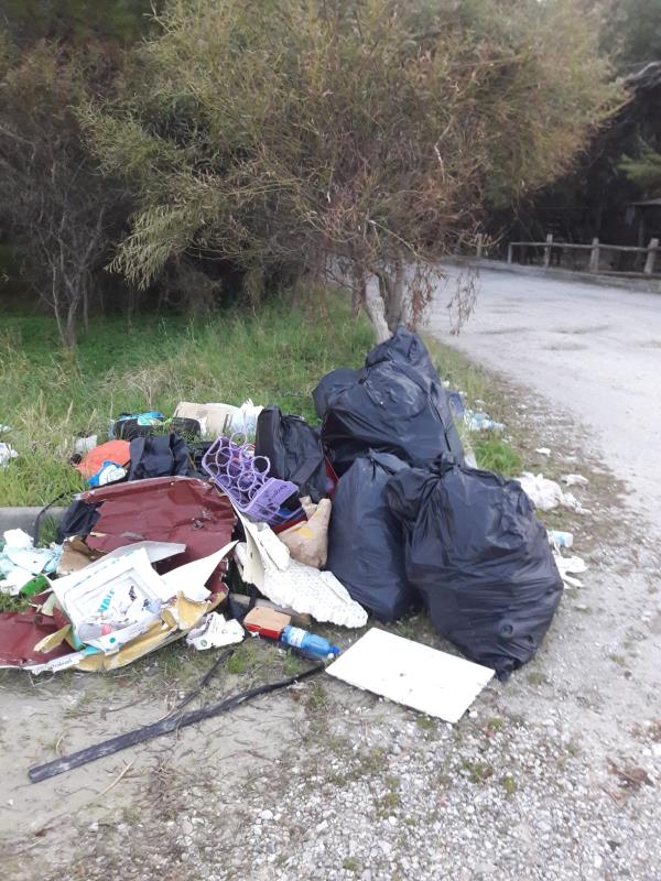 Piccioni, Lamezia bene comune: “Scaduta convenzione da tre mesi per la pineta del lungomare. Amministrazione  intervenga”