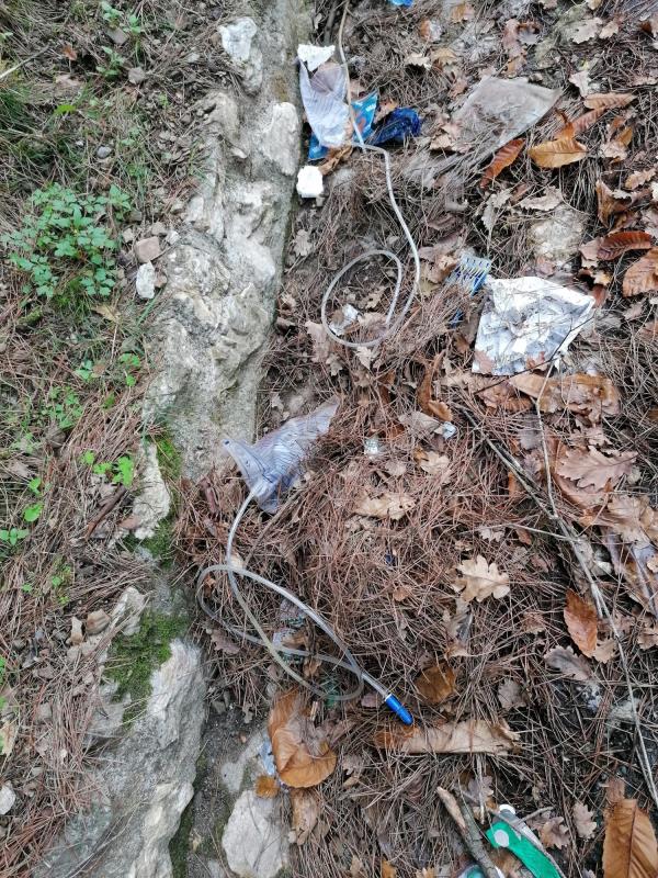 images Catanzaro. Passeggiando nella pineta di Siano tra mascherine e sacche di flebo (FOTO)