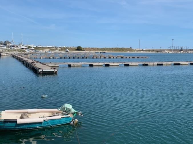 images Pontili a Catanzaro, 'Gli amici del porto': "Verso l'aggiudicazione ma restiamo vigili"
