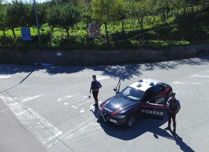 images Controlli serrati dei Carabinieri nel Catanzarese: droga, armi e guida in stato di ebrezza