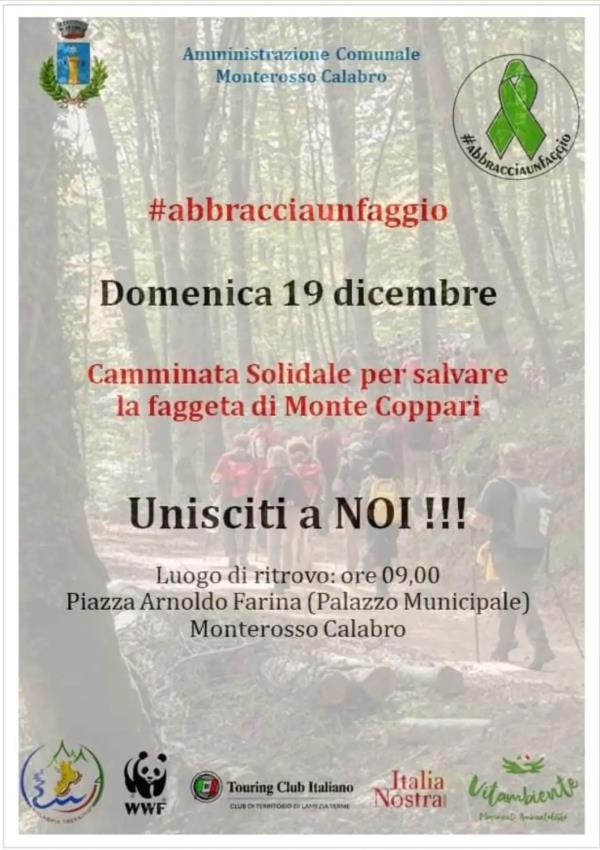 images "Abbraccia un faggio": il cammino su Monte Coppari per dire "No" alle pale eoliche 