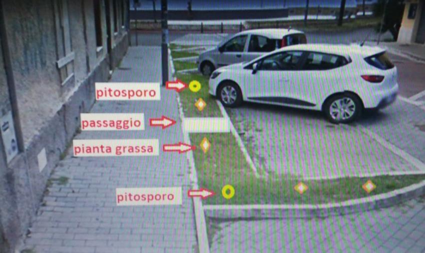 Riccio. "Commissione ambiente approva il progetto riqualificazione delle aiuole in via Del Mare a Lido"