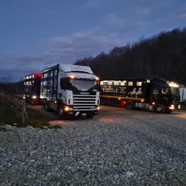 images Petronà. Termina la protesta di Angilletti: il sindaco assicura che la strada si farà entro maggio