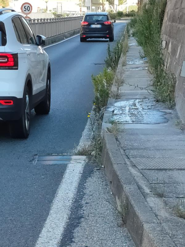 images Catanzaro. La denuncia del Psi: "Interi quartieri e vaste aree dimenticate dall’amministrazione comunale"