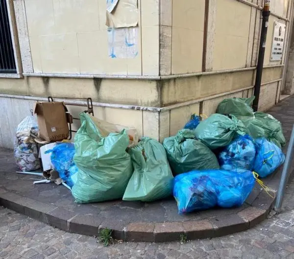 Catanzaro, rifiuti non conformi e abbandoni: nuova raffica di multe della polizia municipale 