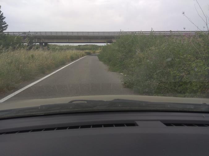 images "Lamezia Bene Comune" chiede che si riprenda il progetto della pista ciclabile e illuminazione sulla strada S. Eufemia-Mare 