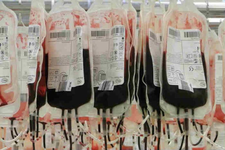 images Il Gom di Reggio invita a donare sangue e plasma iperimmune: "Aiuta anche per il Covid, ma i consumi ora superano le raccolte" 