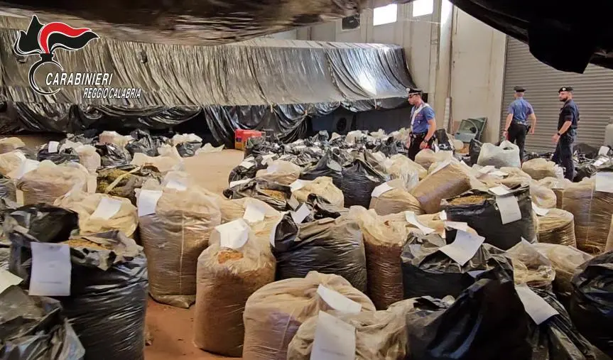 San Ferdinando, maxi sequestro di marijuana: tre tonnellate 