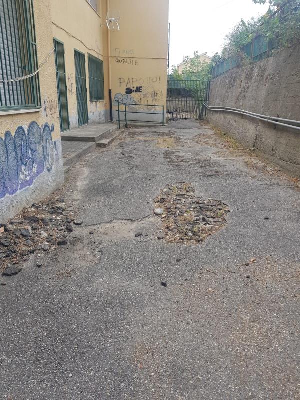 images Primo giorno di scuola. Rotundo (#fareperCatanzaro): "Riqualificare quegli istituti scolastici sacrificati dall'accorpamento"