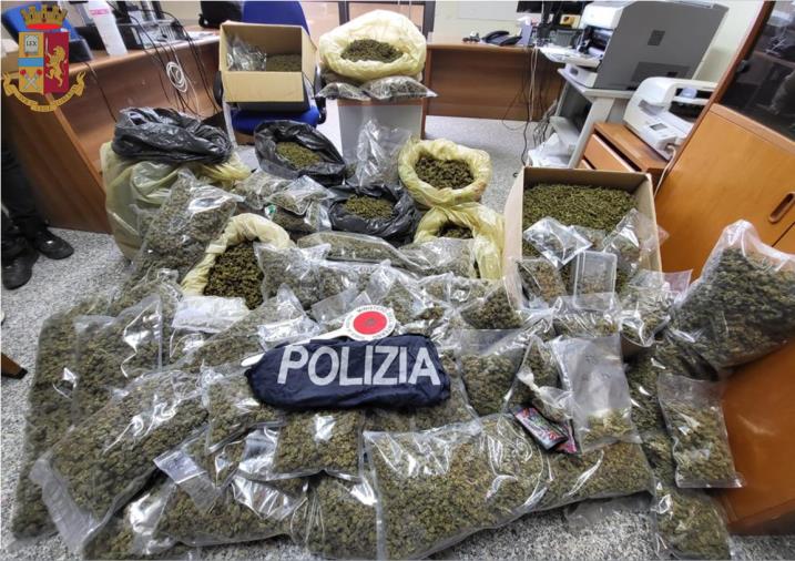 images Vibo Valentia, deteneva oltre 50 chili di marijuana tra il sottotetto della casa e gli armadi: arrestato  




