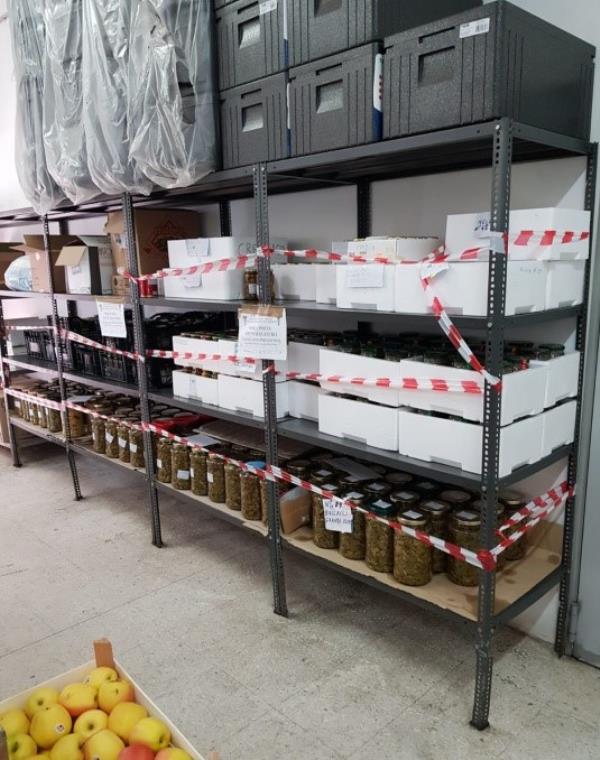 images Crotone, all'azienda mancano autorizzazioni e documenti: sequestrati 550 kg circa di prodotti vegetali