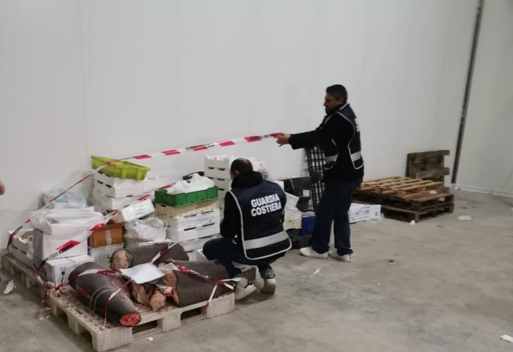 Più di 2 tonnellate e mezzo di pesce sequestrato e quasi 33 mila euro di multe: il bilancio della Guardia costiera di Crotone durante le festività 