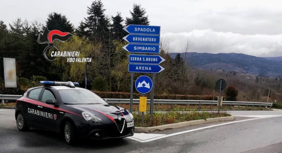 images Asporta la rete di recinzione dell'autostrada allo svincolo A/2 Vazzano, arrestato 