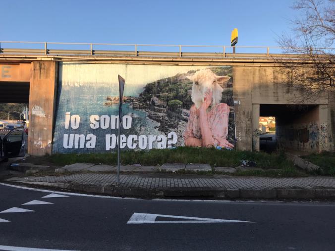 images “Siamo tutti pecore?” . La Calabria con la domanda per il 2021
 