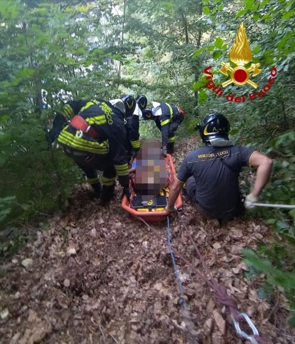 images Cade in un dirupo a Sant'Eufemia d'Aspromonte, salvato dai vigili del fuoco