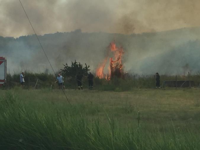 images Bruciano sterpaglie nell'area del quartiere Barone a Catanzaro. Fiamme lambiscono la strada