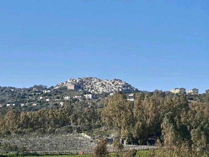 images Fede&Culti. Una Domenica delle Palme nel borgo di Stignano