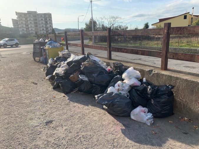 images Intervento straordinario di bonifica su viale Isonzo, grazie alla collaborazione tra Comune, Sieco e comitato di quartiere