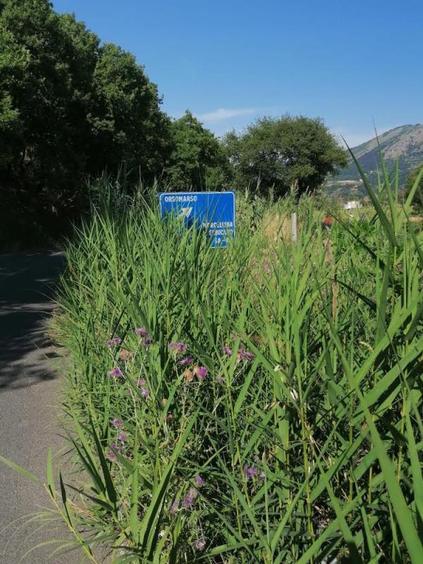 images Abbandono strade. Anas incontra Saccomanno (Lega) per valutare gli interventi di ripristino e manutenzione